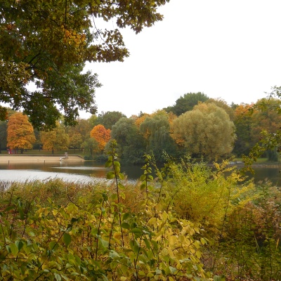 orankeseepark